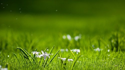 Những bài văn tả cơn mưa lớp 5 ngắn gọn, hay nhất-9