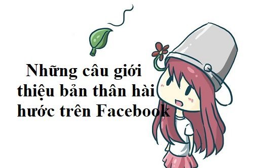 Những câu giới thiệu bản thân hài hước trên Facebook