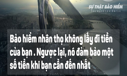 Những câu nói hay về bảo hiểm nhân thọ, Thả thính về bảo hiểm-6