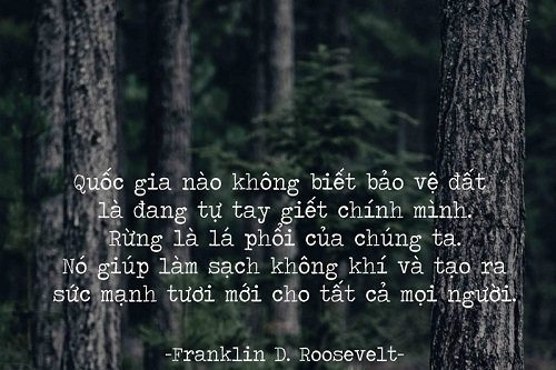 Những câu nói hay về môi trường, Thông điệp bảo vệ môi trường-2