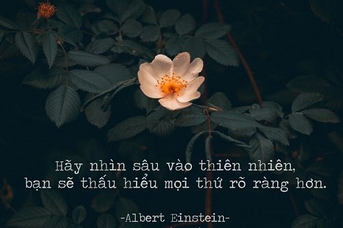 Những câu nói hay về môi trường, Thông điệp bảo vệ môi trường-3