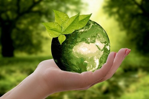 Những câu nói hay về môi trường, Thông điệp bảo vệ môi trường-5