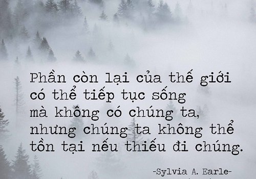 Những câu nói hay về môi trường, Thông điệp bảo vệ môi trường-6