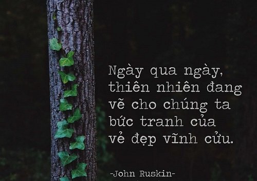 Những câu nói hay về môi trường, Thông điệp bảo vệ môi trường-8