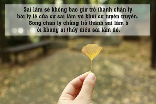 Những câu nói hay về sai lầm tuổi trẻ, Stt sai lầm khi yêu-2
