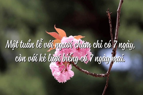 Những câu nói hay về sự chăm chỉ, Stt chăm chỉ kiếm tiền-4