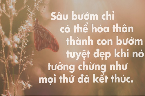 Những câu nói hay về sự khởi đầu, Stt bắt đầu cuộc sống mới-4