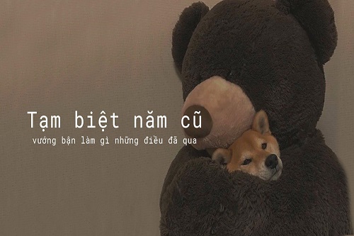 Những lời chào tạm biệt hay nhất, Stt tạm biệt khi xa quê-4
