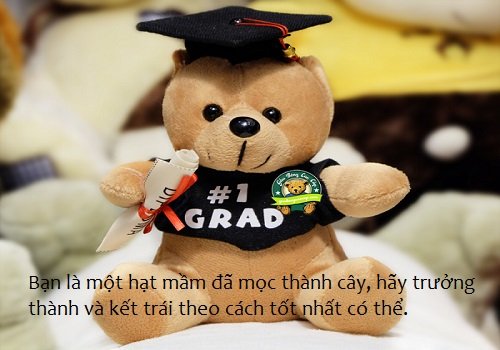 Lời chúc tốt nghiệp hay, Stt chúc mừng tốt nghiệp đại học-4