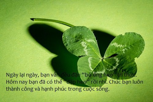 Lời chúc tốt nghiệp hay, Stt chúc mừng tốt nghiệp đại học-6