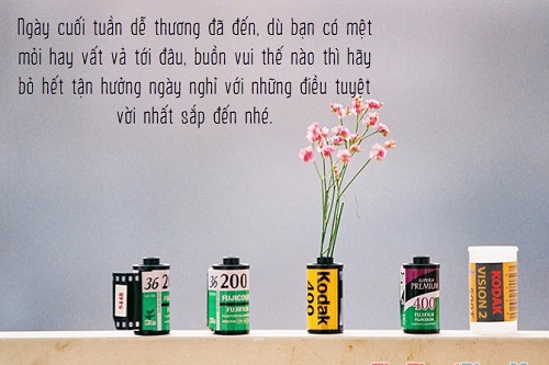 Những lời chúc cuối tuần vui vẻ, STT cuối tuần bình yên-9