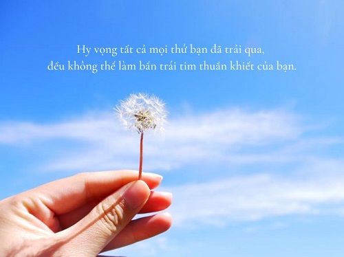 Những câu stt hy vọng hay, Stt hy vọng rồi thất vọng-4