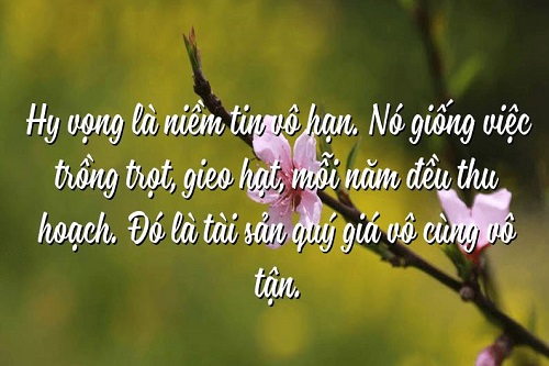 Những câu stt hy vọng hay, Stt hy vọng rồi thất vọng-5