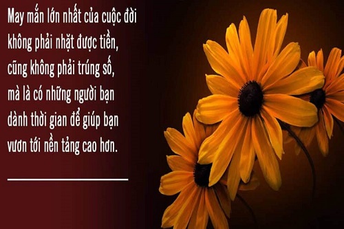 Những câu stt may mắn trong cuộc sống, tình yêu, công việc-2