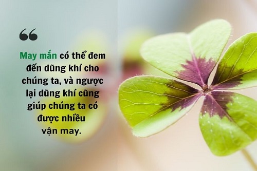 Những câu stt may mắn trong cuộc sống, tình yêu, công việc