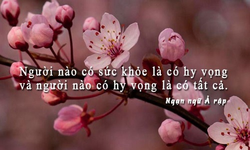 Những câu nói hay về sức khỏe, STT về sức khỏe và sắc đẹp-14