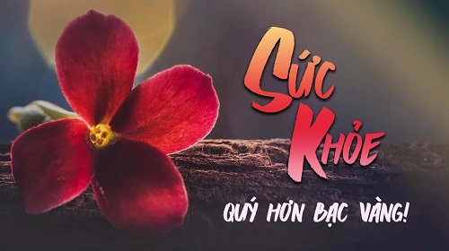 Những câu nói hay về sức khỏe, STT về sức khỏe và sắc đẹp-5