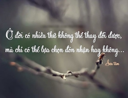 Những câu nói hay về sự lựa chọn tình yêu, Stt lựa chọn sai lầm-5