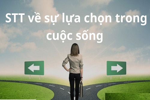 Những câu nói hay về sự lựa chọn tình yêu, Stt lựa chọn sai lầm-3