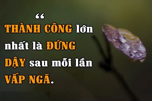 Những câu stt vấp ngã cuộc đời, Stt vấp ngã tự đứng lên-3