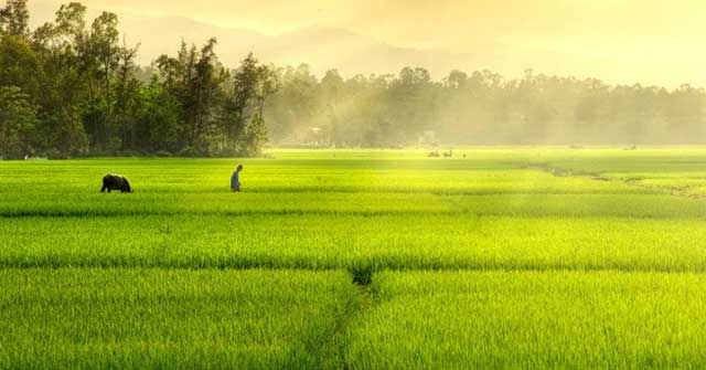 Tập làm văn lớp 5: Tả lại một cảnh đẹp của quê hương mà em thích nhất (Sơ đồ tư duy) Dàn ý & 38 bài tả cảnh đẹp quê hương hay nhất